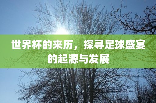 世界杯的来历，探寻足球盛宴的起源与发展眉山市正发家政服务有限公司