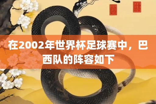 在2002年世界杯足球赛中眉山市正发家政服务有限公司，巴西队的阵容如下