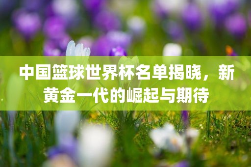 中国篮球世界杯名单揭晓，新黄金一代的崛起与期待