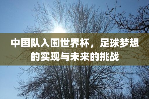 中国队入围世界杯，足球梦想的实现与未来的挑战