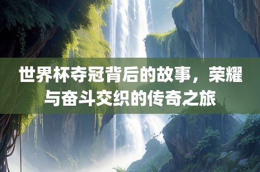 世界杯夺冠背后的故事，荣耀与奋斗交织的传奇之旅