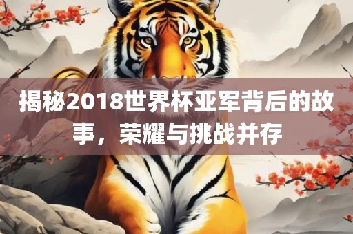 揭秘2018世界杯亚军背后的故事，荣耀与挑战并存