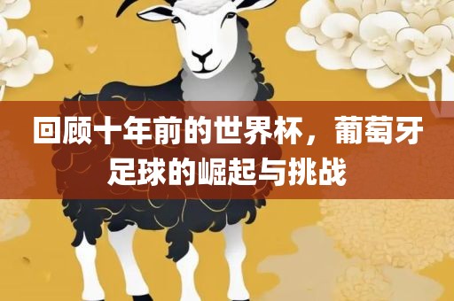回顾十年前的世界杯眉山市正发家政服务有限公司，葡萄牙足球的崛起与挑战