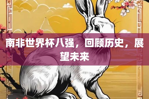 南非世界杯八强，回顾历史，展望未来眉山市正发家政服务有限公司