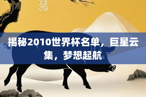 揭秘2010世界杯名单，巨星云集，梦想起航眉山市正发家政服务有限公司
