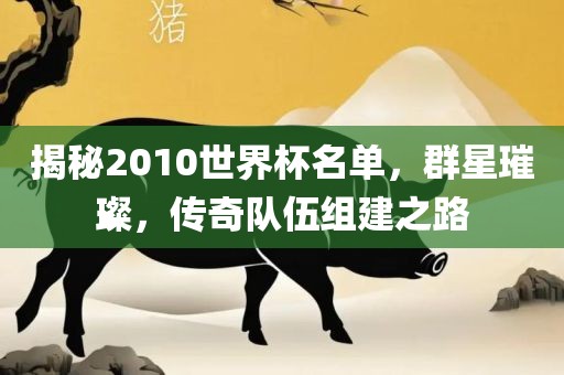 揭秘2010世界杯名单，群星璀璨，传奇队伍组建之路