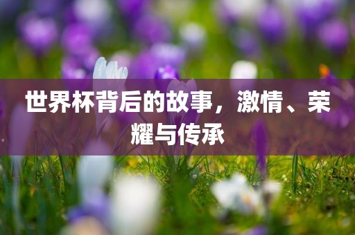 世界杯背后的故事，激情、荣耀与传承眉山市正发家政服务有限公司