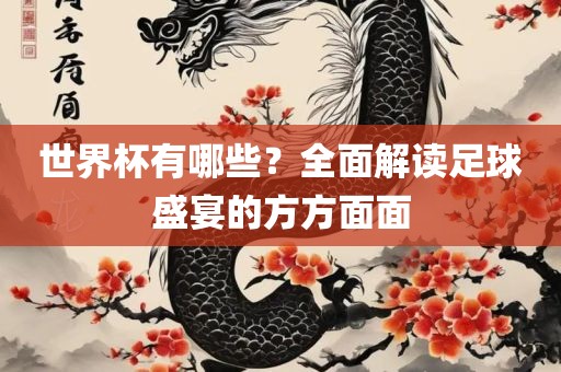 世界杯有哪些？全面解读足球盛宴的方方面面