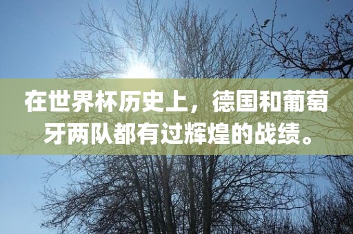 在世界杯历史上，德国和葡萄牙两队都有过辉煌的战绩。眉山市正发家政服务有限公司