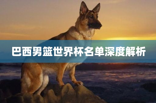 巴西男篮世界杯名单深度解析