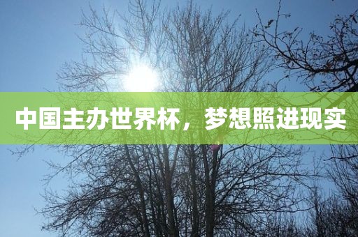 眉山市正发家政服务有限公司中国主办世界杯，梦想照进现实