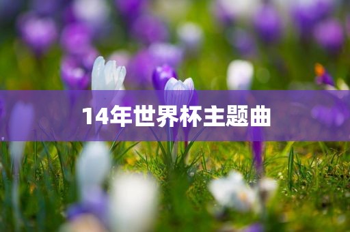 14年世界杯主题曲眉山市正发家政服务有限公司