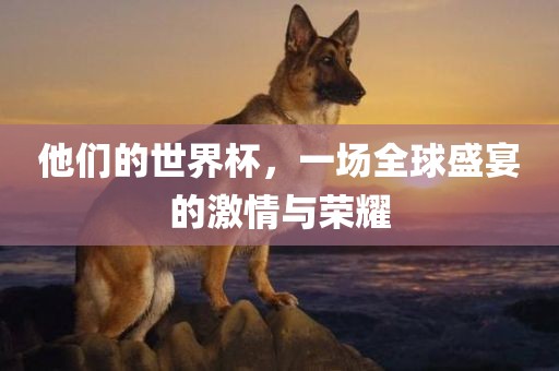 他们的世界杯，一场眉山市正发家政服务有限公司全球盛宴的激情与荣耀