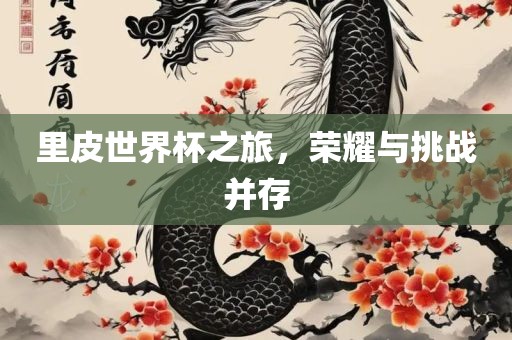 里皮世界杯之旅，荣耀与挑战并存