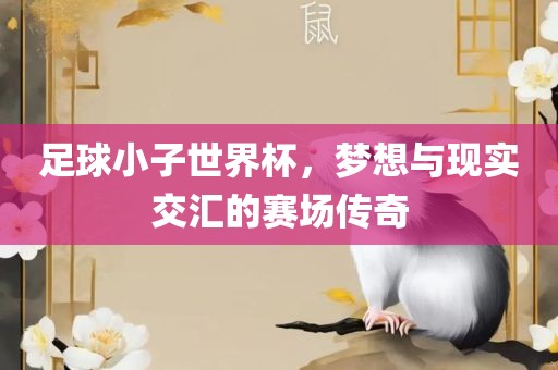 足球小子世界杯，梦想与现实交汇的赛场传奇