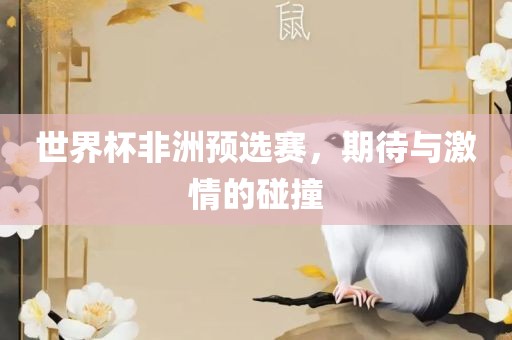 世界杯非洲预选赛，期待与激情的碰撞