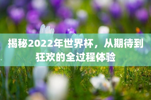 揭秘2022年世界杯，从期待到狂欢的全过程体验眉山市正发家政服务有限公司