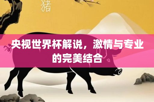 央视世界杯解说，激情与专业的完美结合