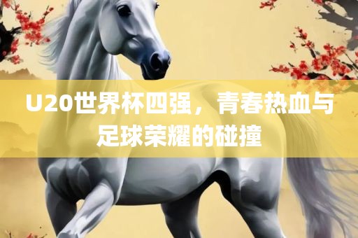 U20世界杯四强，青春热血与足球荣耀的碰撞