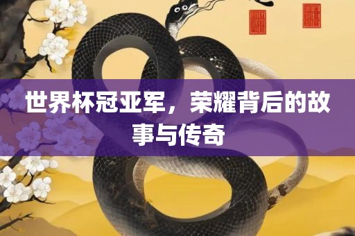 世界杯冠亚军，荣耀背后的故事与传奇