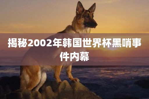 揭秘2002年韩国世界杯黑哨事件内幕