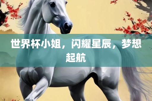 世界杯小姐，闪耀星辰，梦想起航