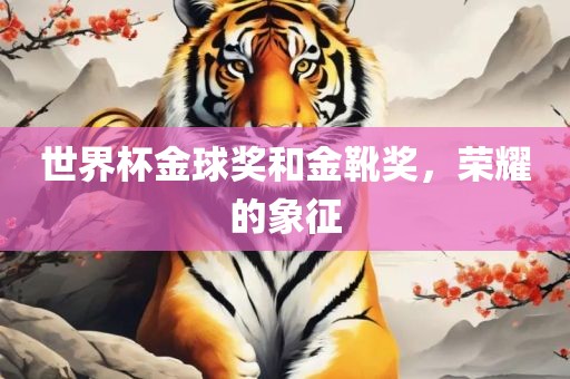 世界杯金球奖和金靴奖，荣耀的象征