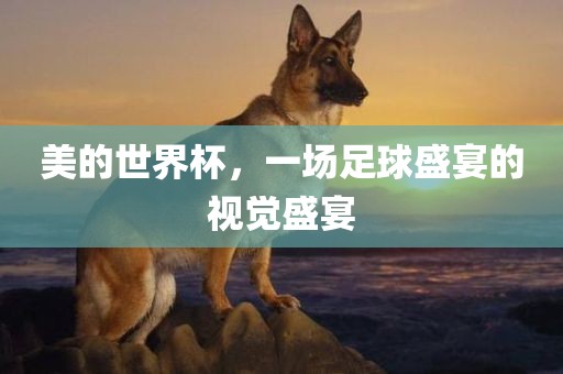 美的世界杯，一场足球盛宴的视觉盛宴