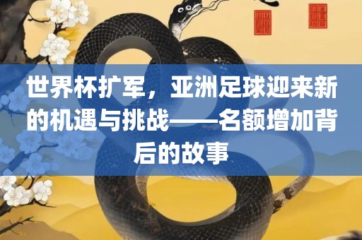 世界杯扩军，亚洲足球迎来新的机遇与挑战——名额增加背后的故事