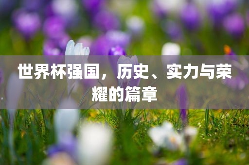 世界杯强国，历史、实力与荣耀的篇章