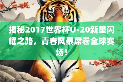 揭秘2017世界杯U-20新星闪耀之路，青春风暴席卷全球赛场！