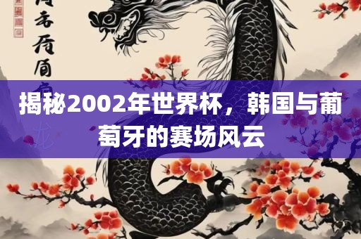 揭秘2002年世界杯，韩国与葡萄牙的赛场风云