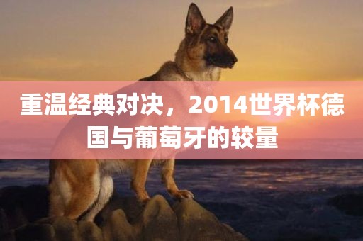 重温经典对决，2014世界杯德国与葡萄牙的较量