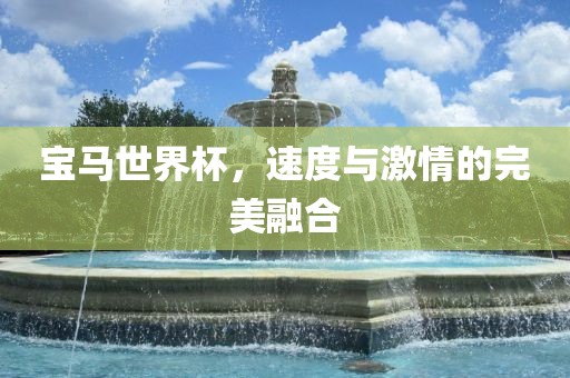 宝马世界杯，速度与激情的完美融合