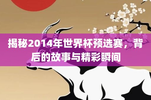 揭秘2014年世界杯预选赛，背后的故事与精彩瞬间