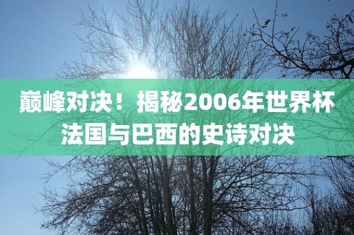 巅峰对决！揭秘2006年世界杯法国与巴西的史诗对决