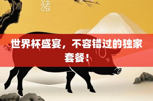 世界杯盛宴，不容错过的独家套餐！