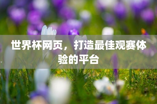 世界杯网页，打造最佳观赛体验的平台