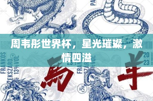 周韦彤世界杯，星光璀璨，激情四溢