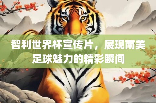智利世界杯宣传片，展现南美足球魅力的精彩瞬间