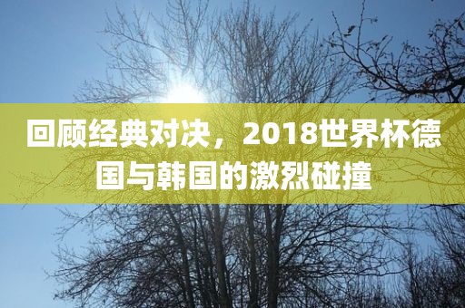 回顾经典对决，2018世界杯德国与韩国的激烈碰撞