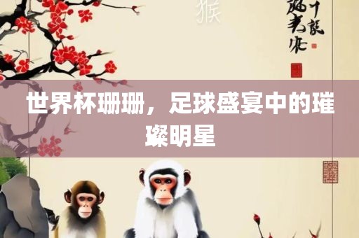 世界杯珊珊，足球盛宴中的璀璨明星