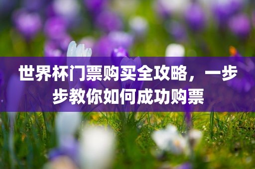 世界杯门票购买全攻略，一步步教你如何成功购票
