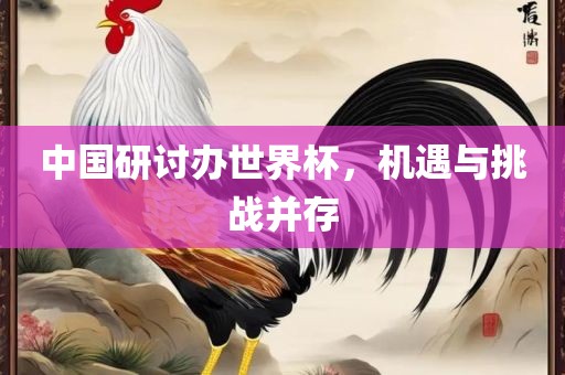 中国研讨办世界杯，机遇与挑战并存