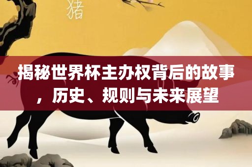 揭秘世界杯主办权背后的故事，历史、规则与未来展望