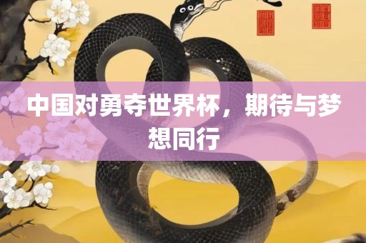 中国对勇夺世界杯，期待与梦想同行