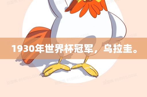 1930年世界杯冠军，乌拉圭。
