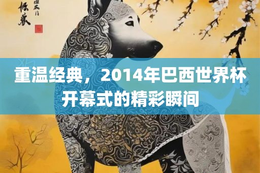 重温经典，2014年巴西世界杯开幕式的精彩瞬间
