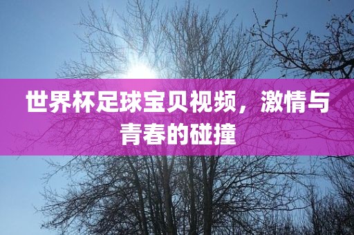世界杯足球宝贝视频，激情与青春的碰撞