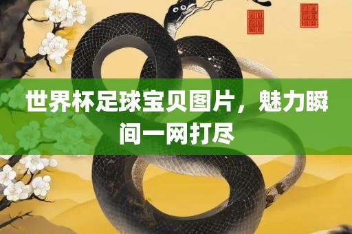 世界杯足球宝贝图片，魅力瞬间一网打尽